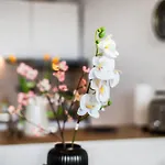 아파트 Ruhiges Und Modernes Zuhause *