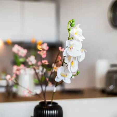 Apartment Ruhiges Und Modernes Zuhause *