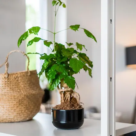 Lejlighed Helles Apartment Mit Balkon & Highs