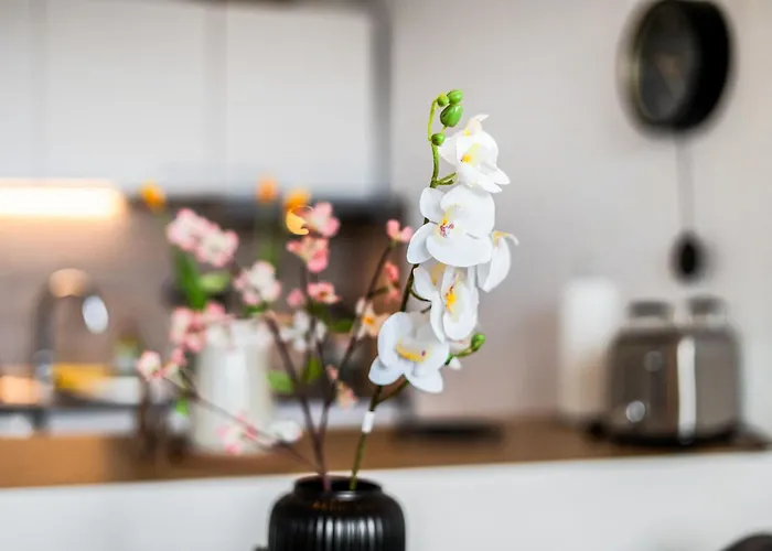 아파트 Ruhiges Und Modernes Zuhause *