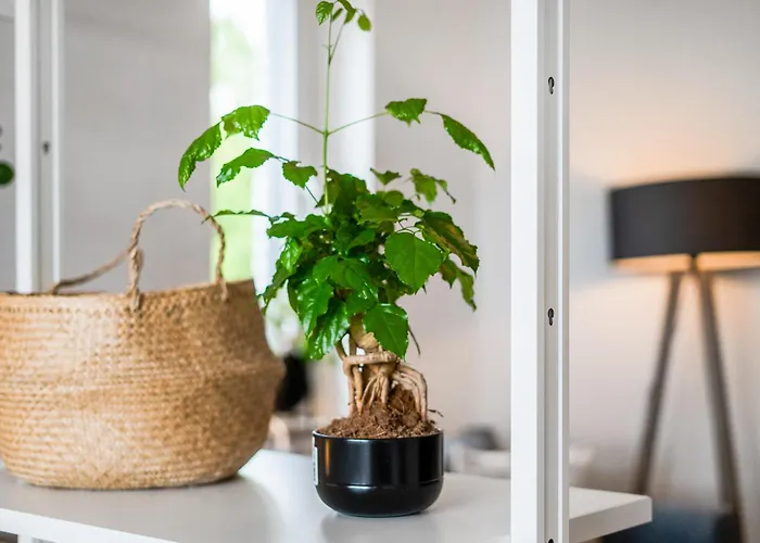 Ruhiges Und Modernes Zuhause 아파트